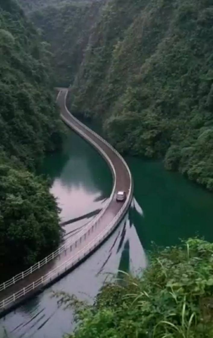 Social Logins start 5IOG - loginella.site