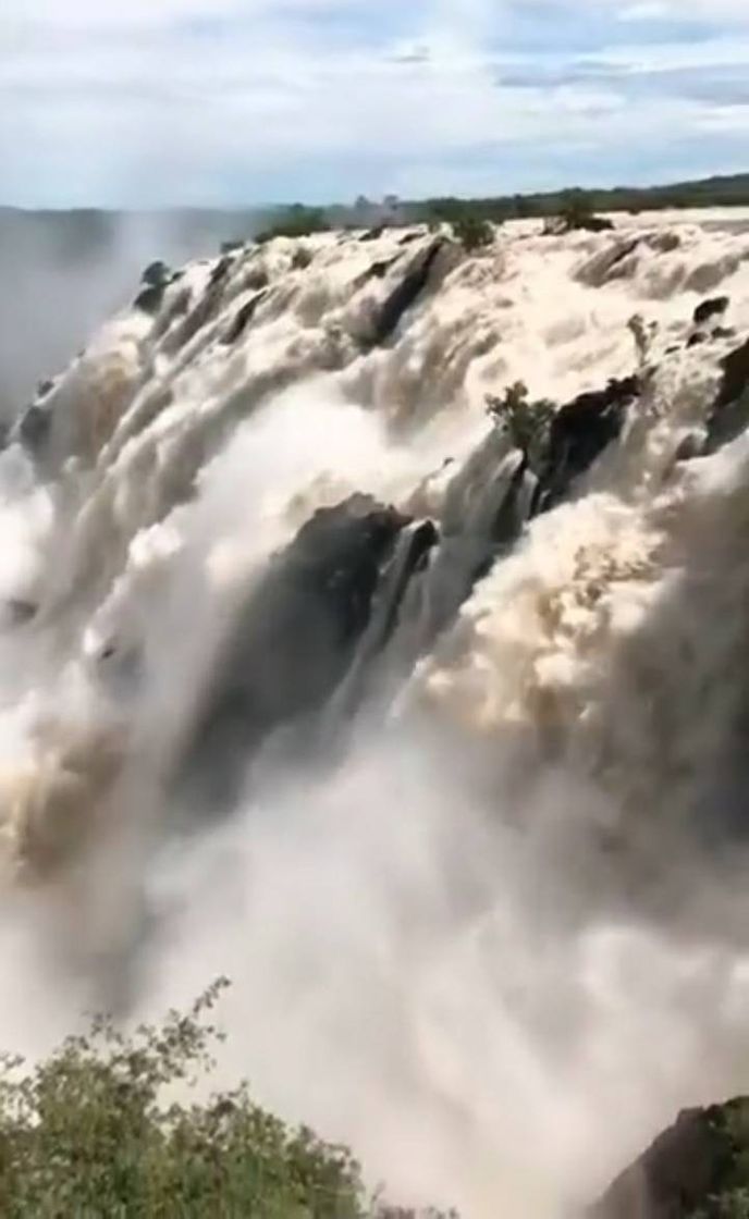 Social Logins start 3YHR - loginella.site