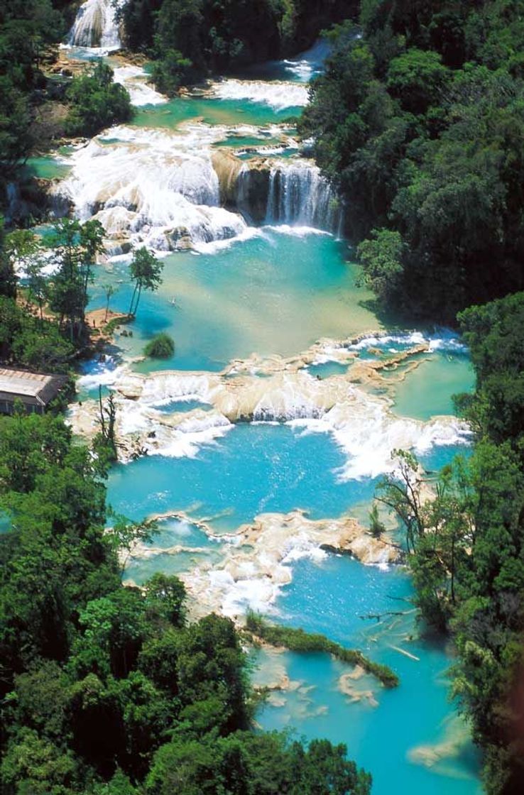 Lugar Cascadas Agua Azul