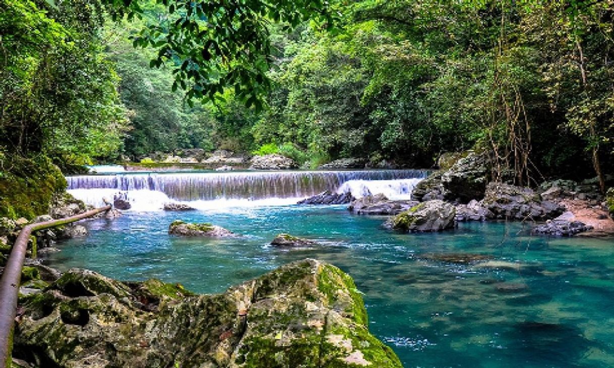 Lugar Reserva de La Biosfera El Cielo