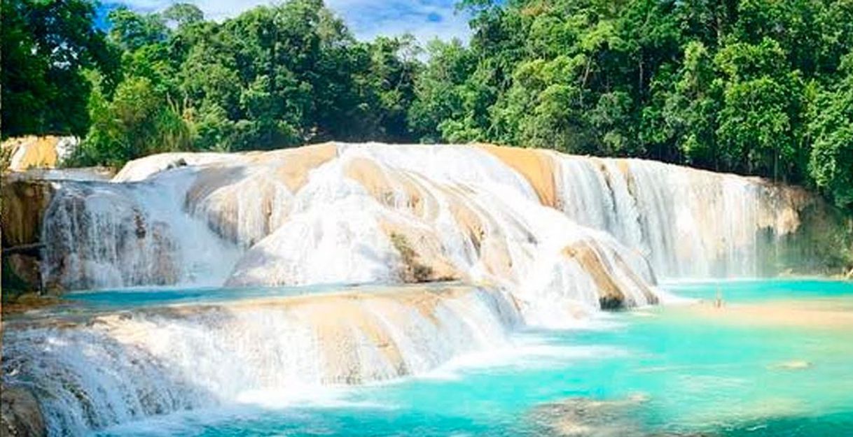 Place Cascadas de Agua Azul