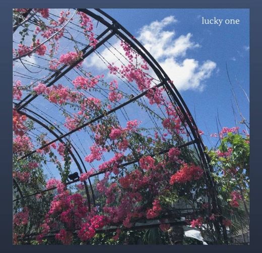Lucky one - Mich