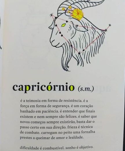 Capricórnio ♑️ 