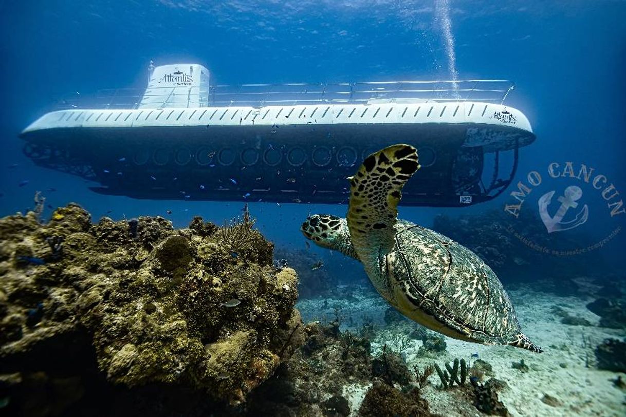Submarino en Cozumel