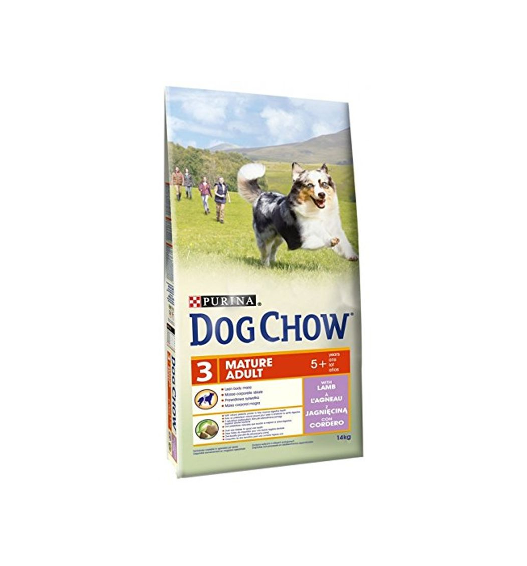 Product Dog Chow