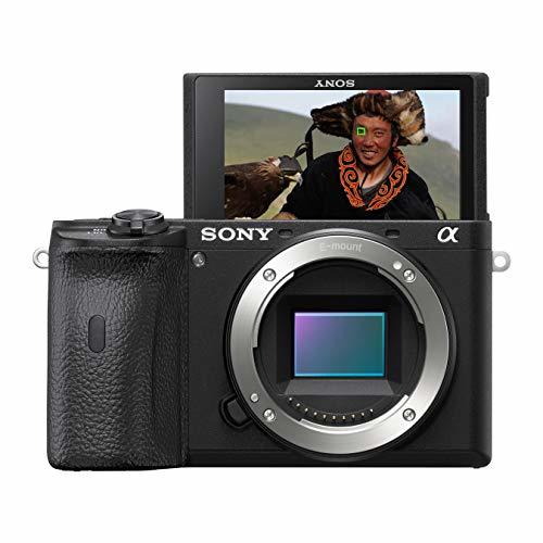 Sony Alpha 6600