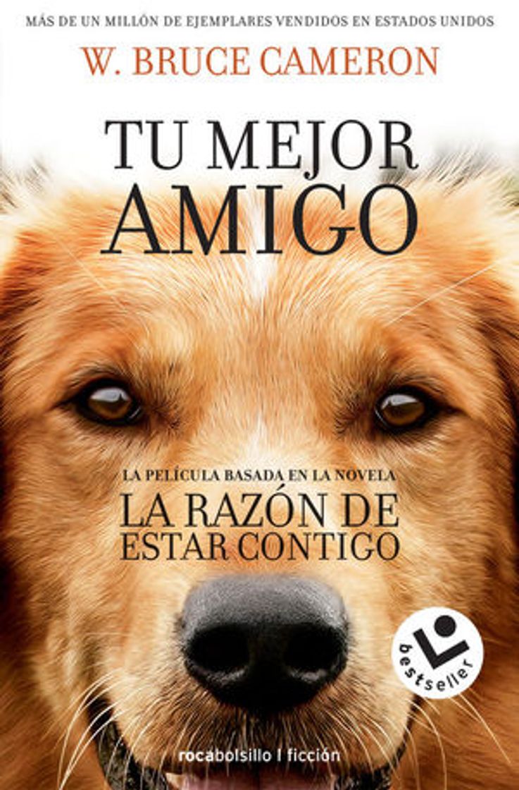 Movie Tu mejor amigo