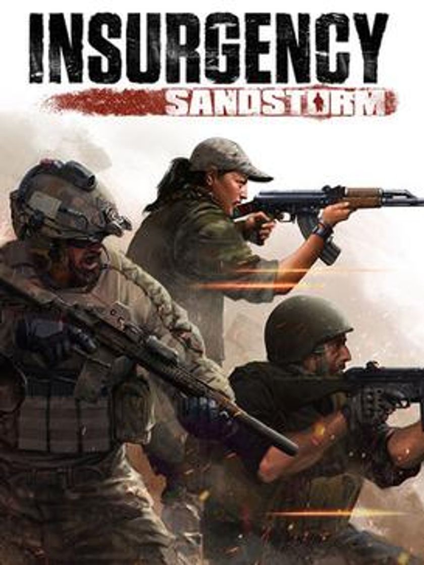 Videojuegos Insurgency sandstorm 