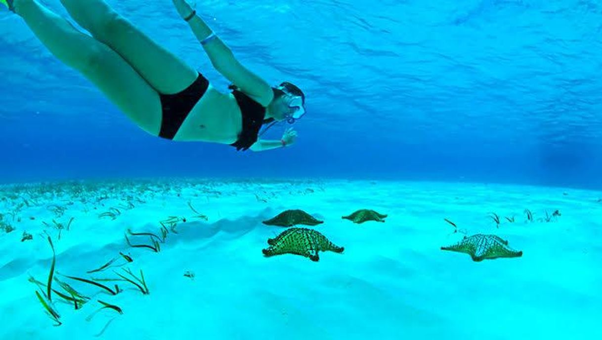 Place Snorkel El Cielo Cozumel