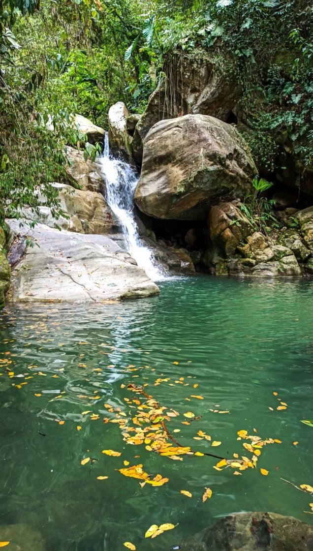 Lugar Bocas-Rionegro