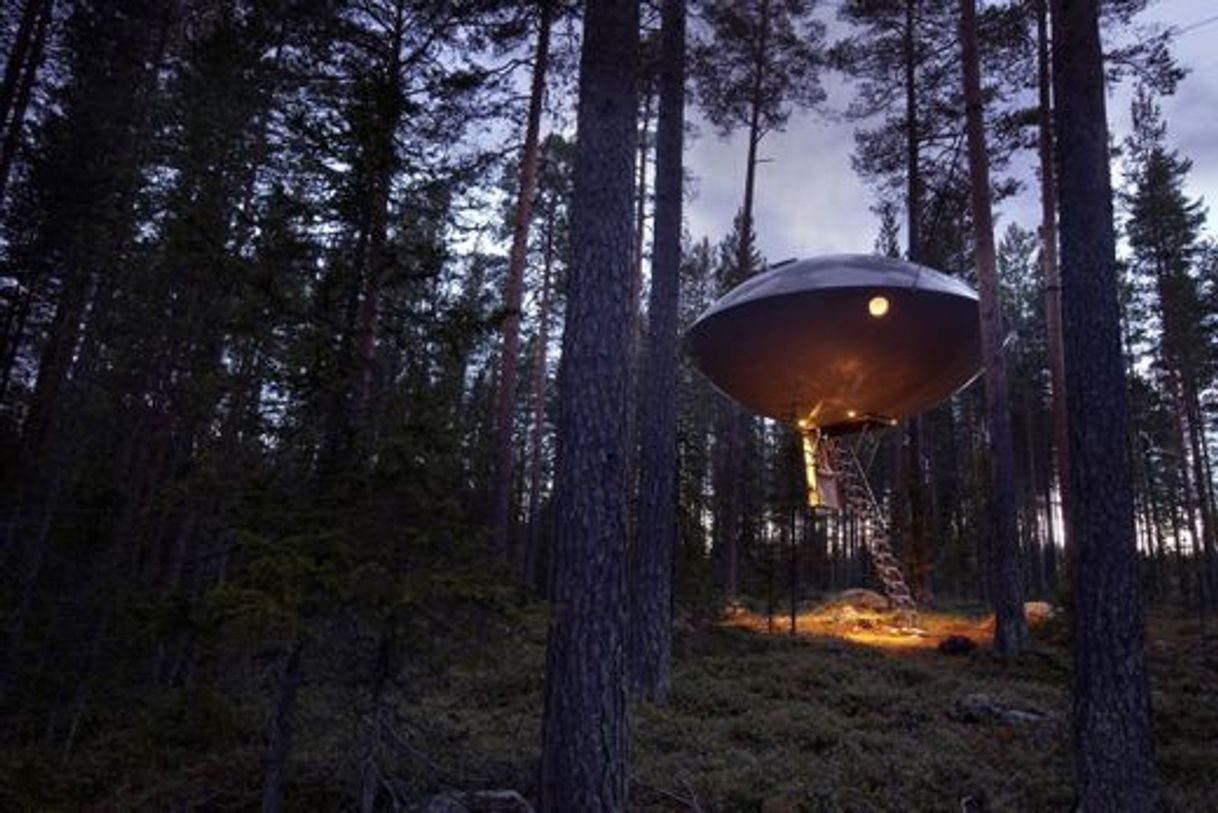 Lugar Treehotel