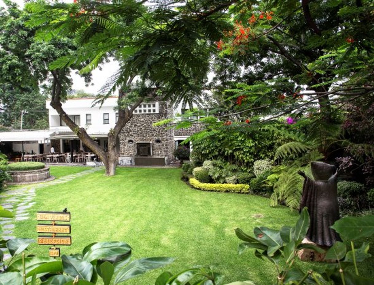 Places Hotel Boutique Casa Fernanda, Spa Tepoztlán, Bodas Tepoztlán