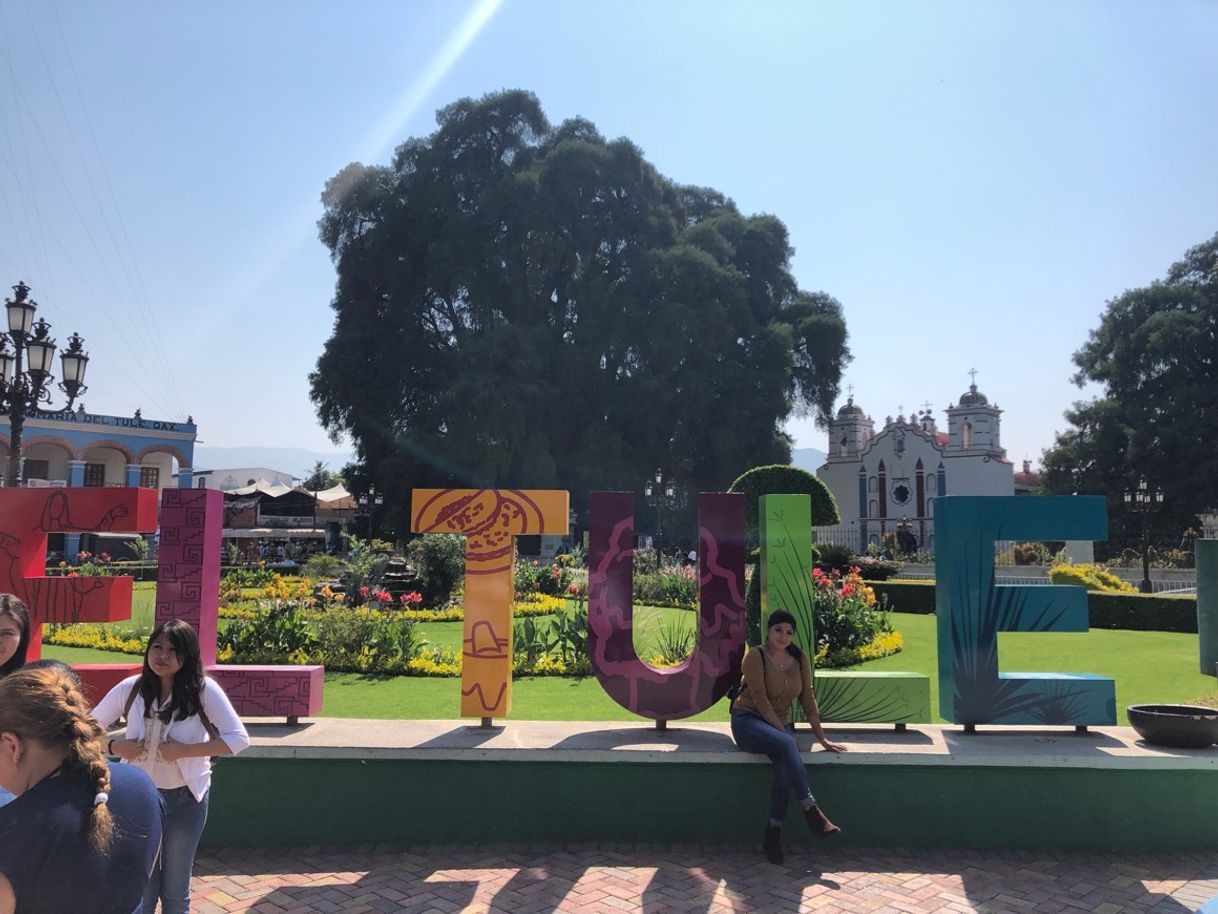 Place Árbol del Tule