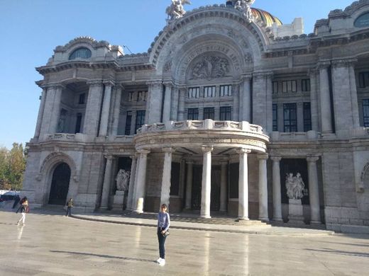 Museo De Bellas Artes