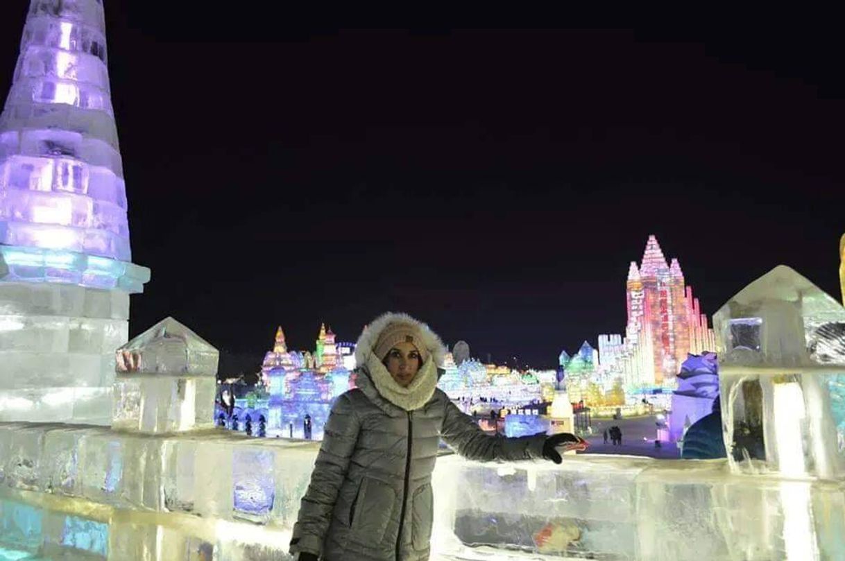 Place Harbin