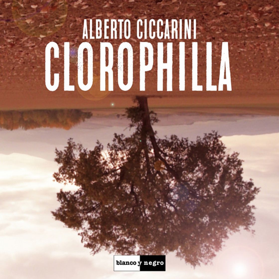 Music Clorophilla - Dream Edit