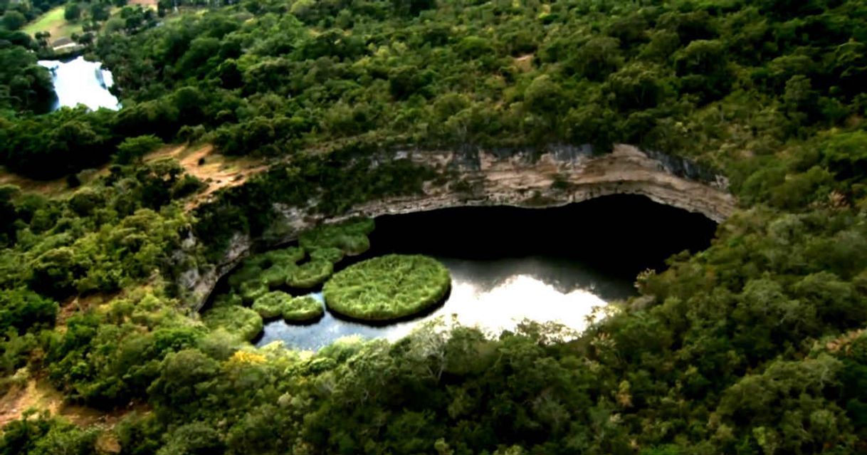 Lugar Conoce El Zacatón, el cenote más profundo del mundo 