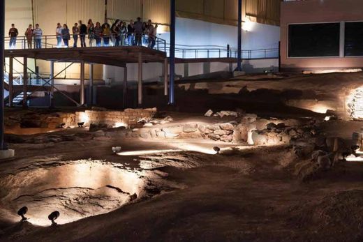 Museo y Parque Arqueológico Cueva Pintada