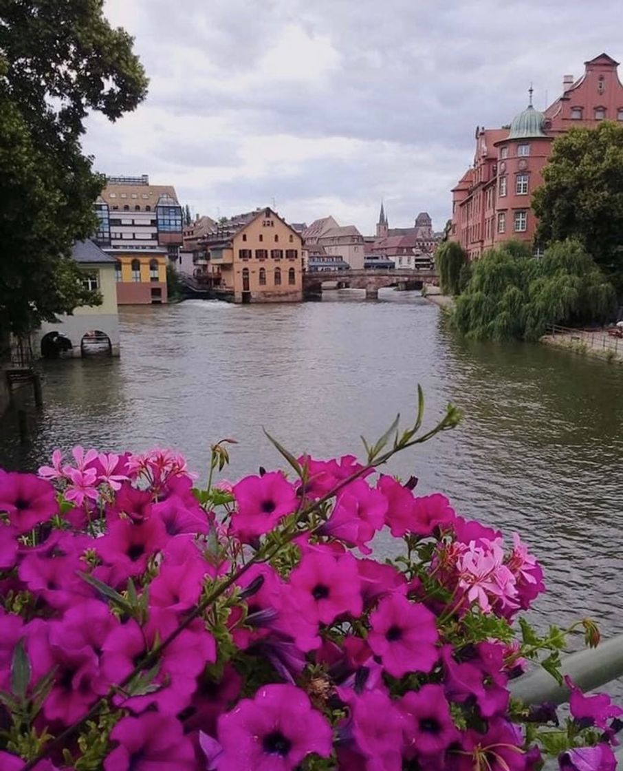 Lugar Colmar