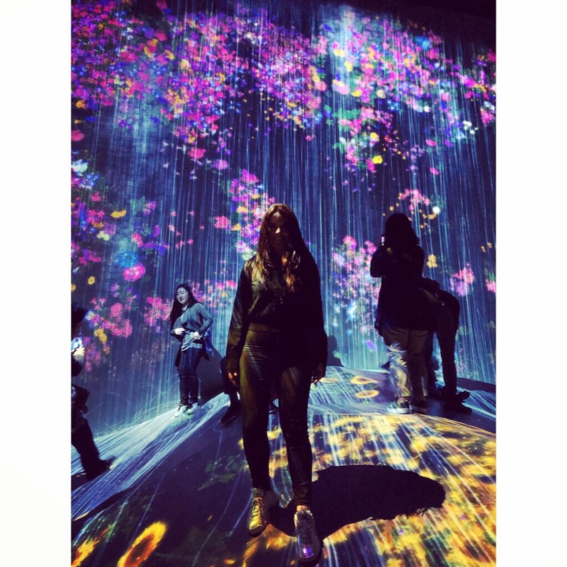 Place teamLab Borderless Tokyo: MORI Building DIGITAL ART MUSEUM