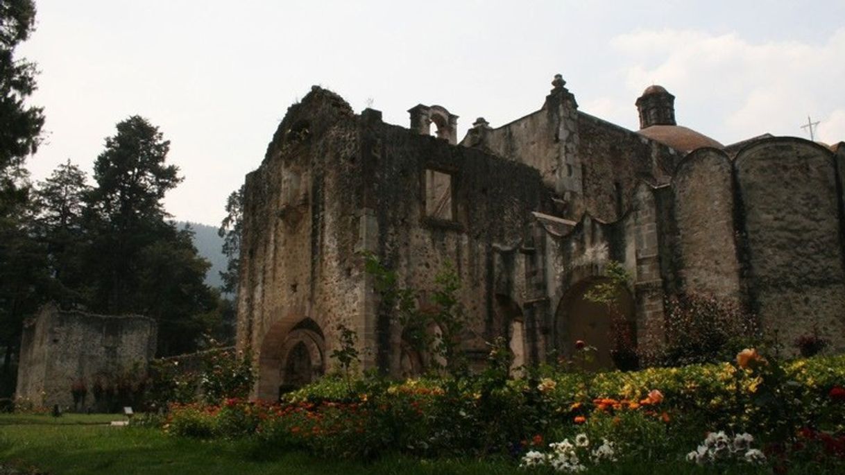 Place Desierto de Los Leones