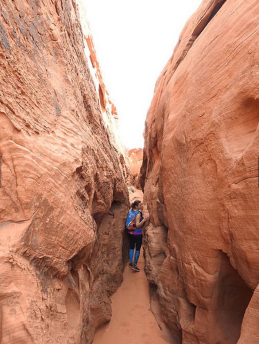 Place Valley of Fire