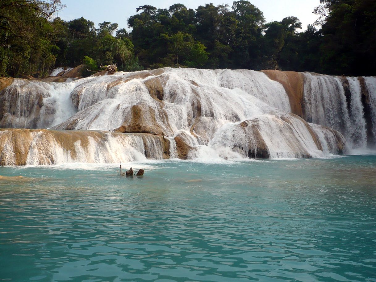 Lugar Cascadas de Agua Azul