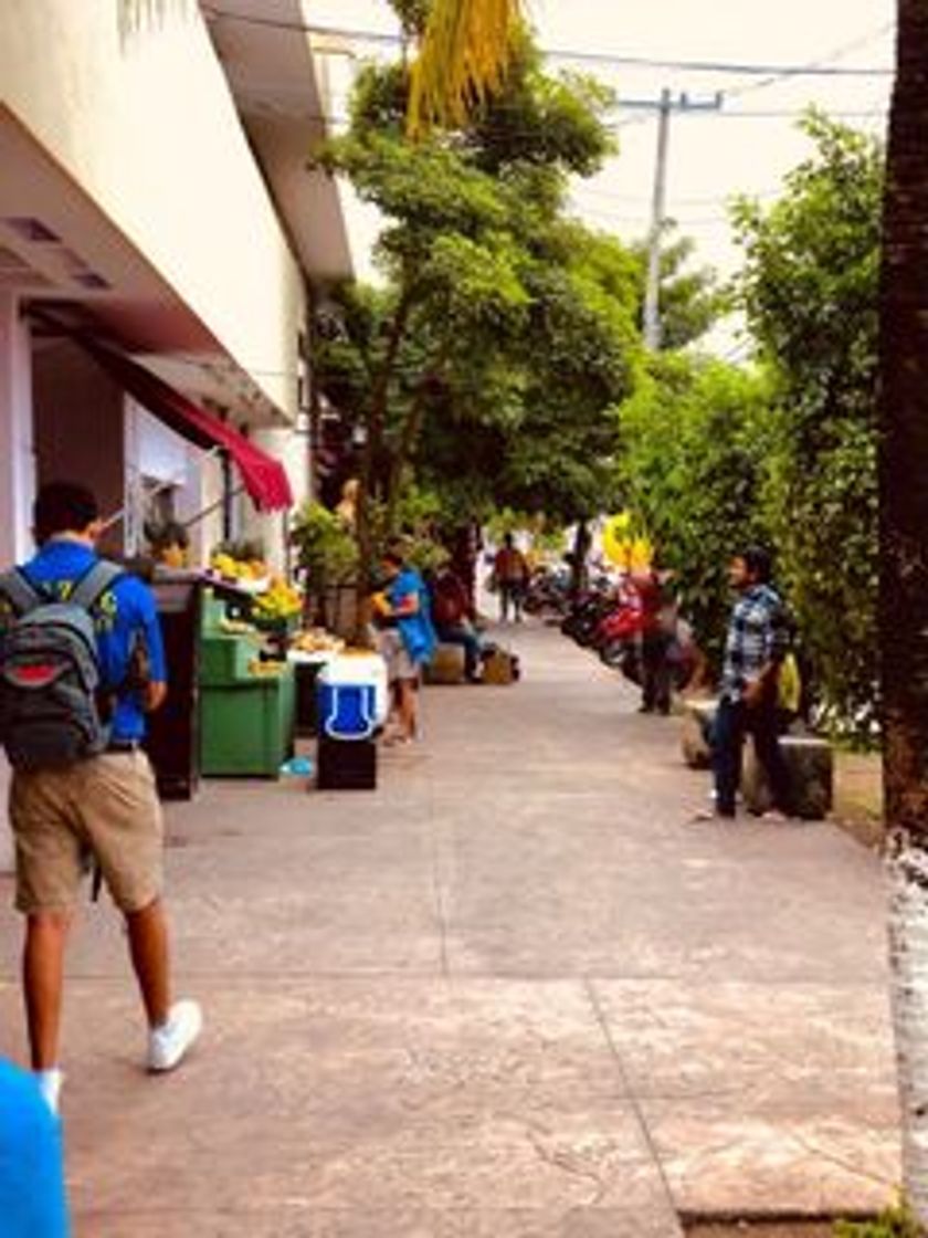 Place Centro de Cozumel.