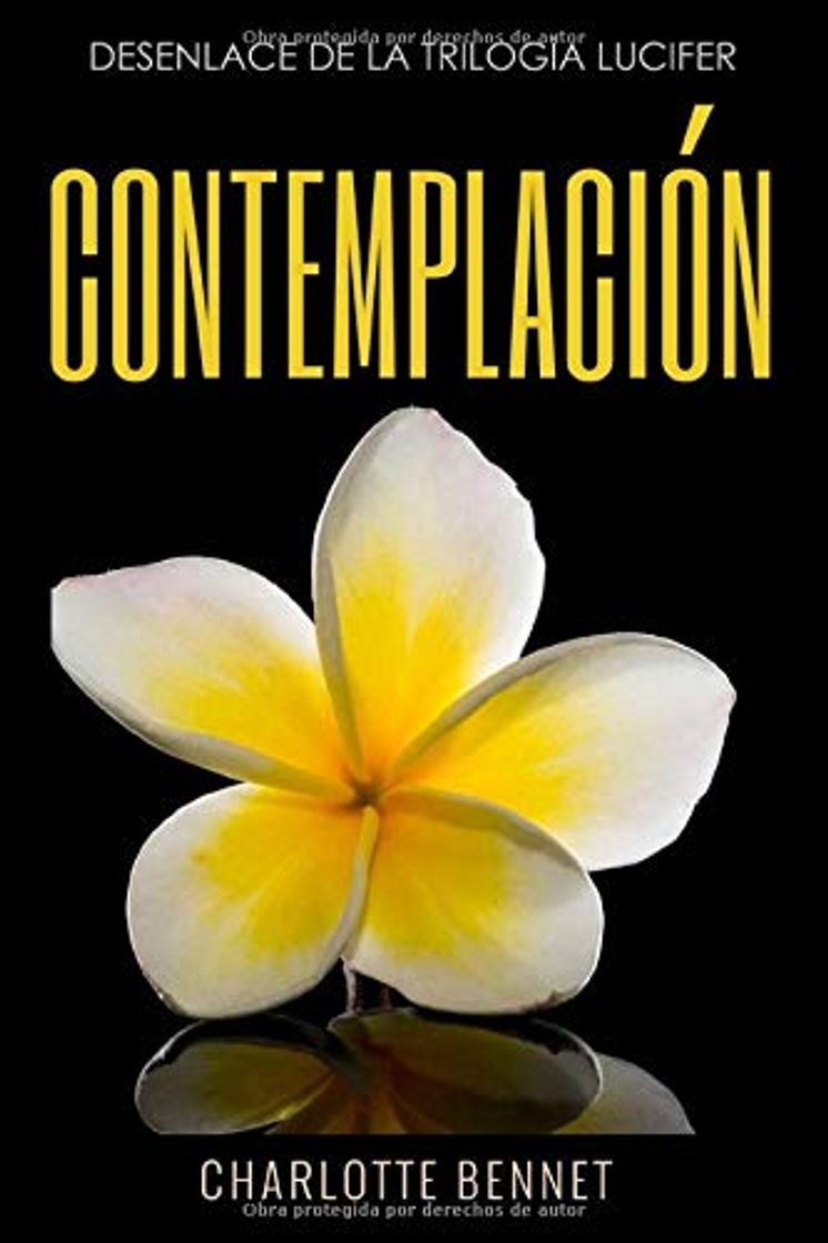 Book ¨CONTEMPLACIÓN¨