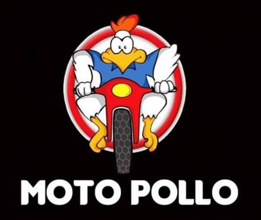 Moto Pollo