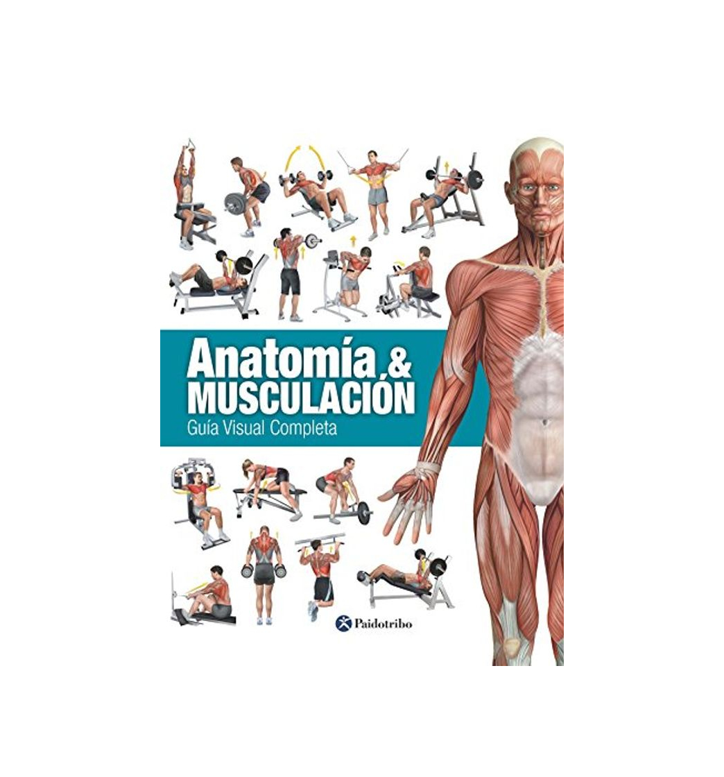 Social Anatomía & musculación