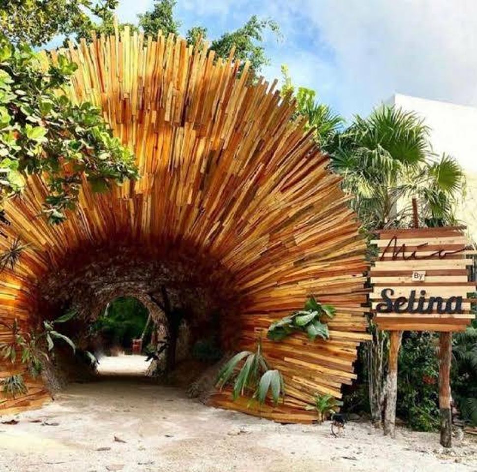 Lugar Selina Tulum