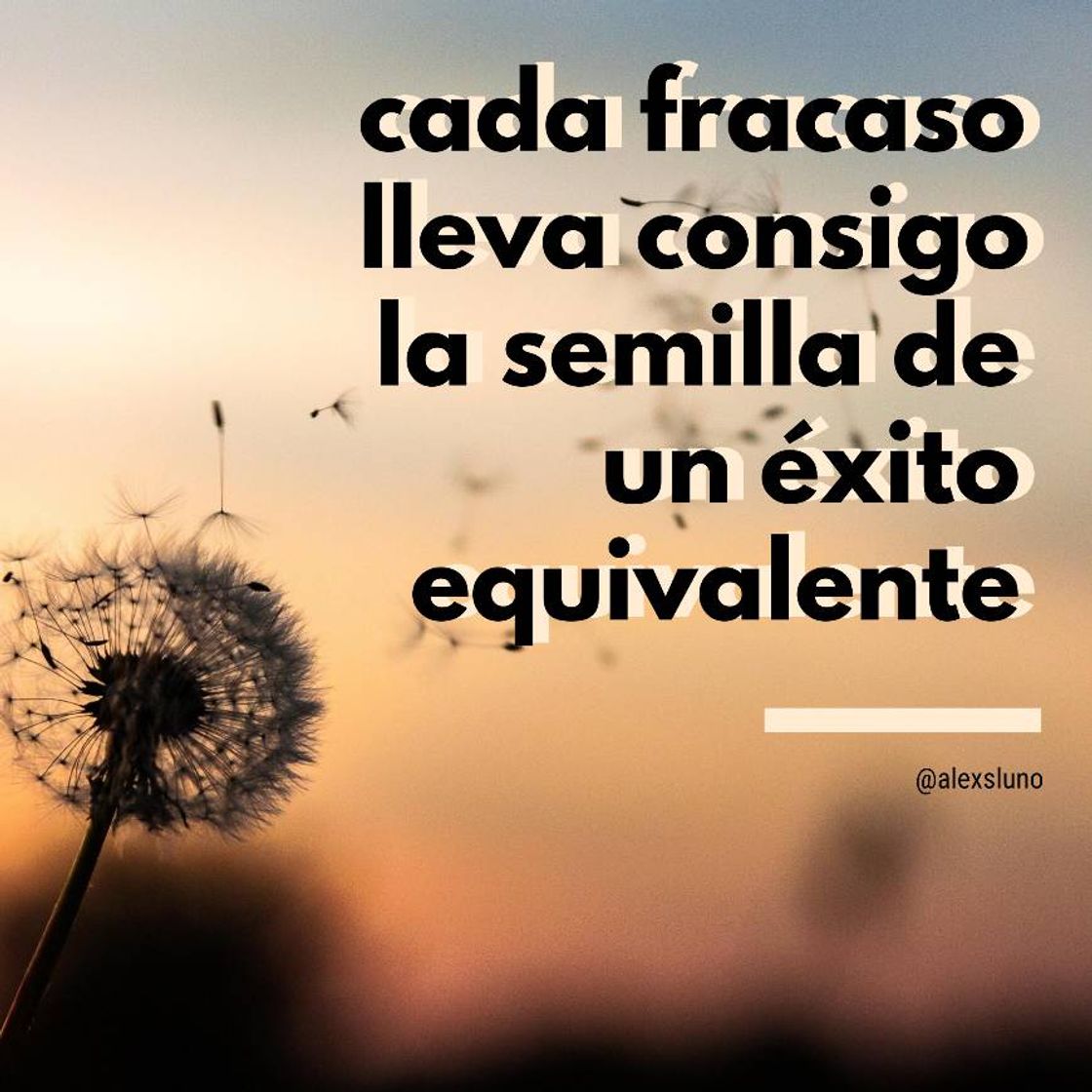 Fashion Frase