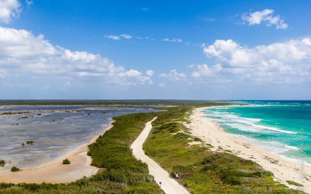 Places PUNTA SUR ECO BEACH PARK