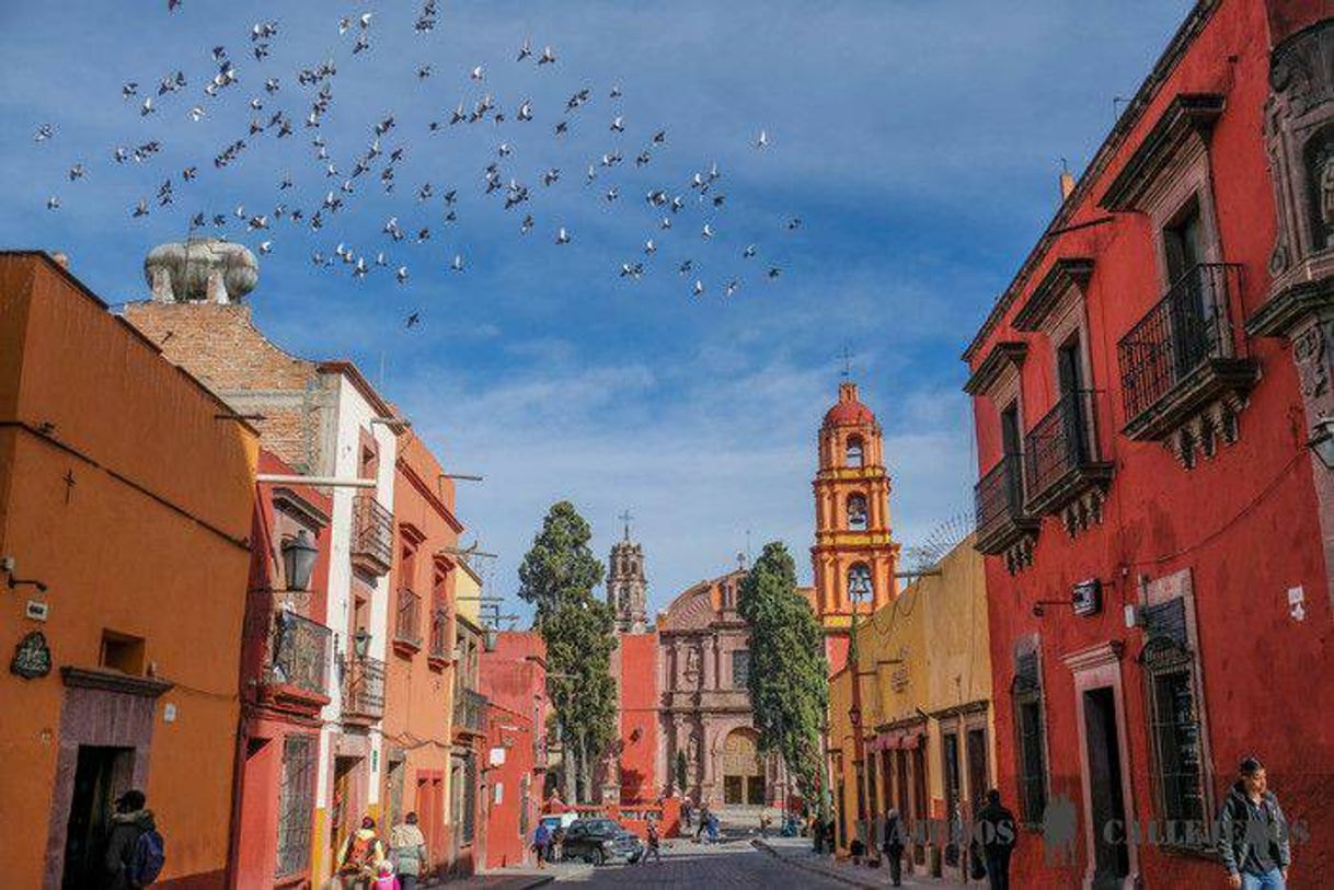 Place San Miguel de Allende