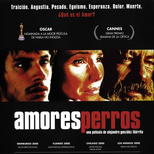 Amores Perros