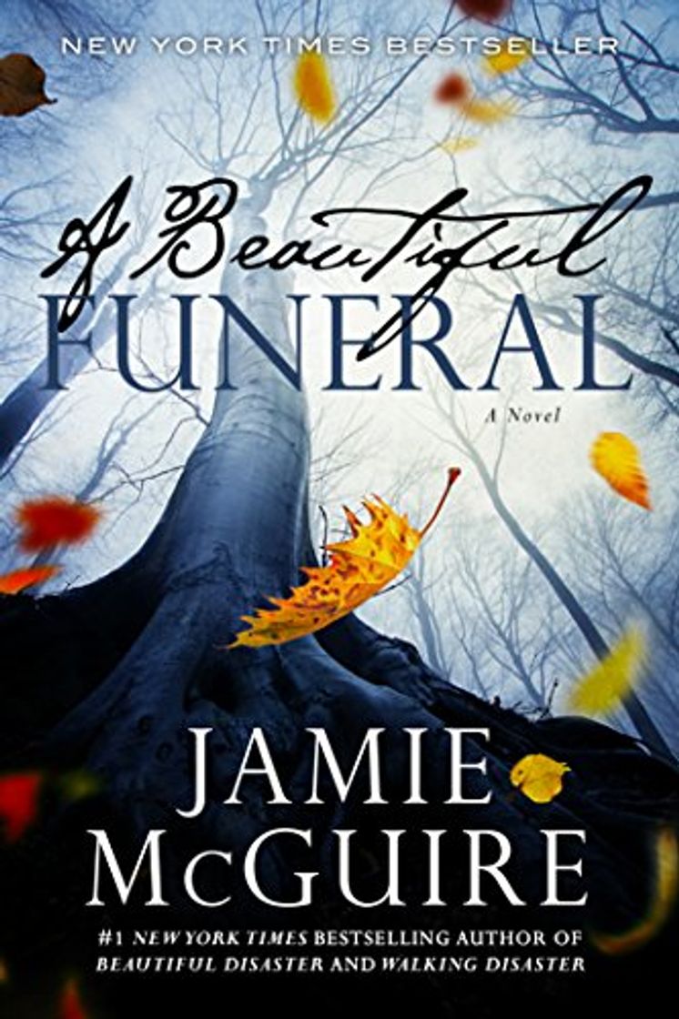 Books A Beautiful Funeral: A Novel