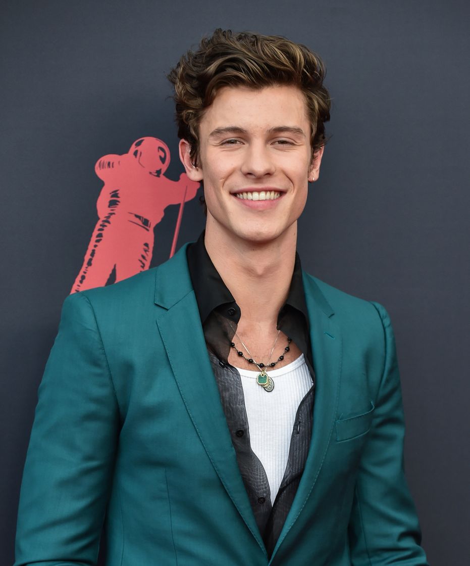 Social Shawn Mendes 