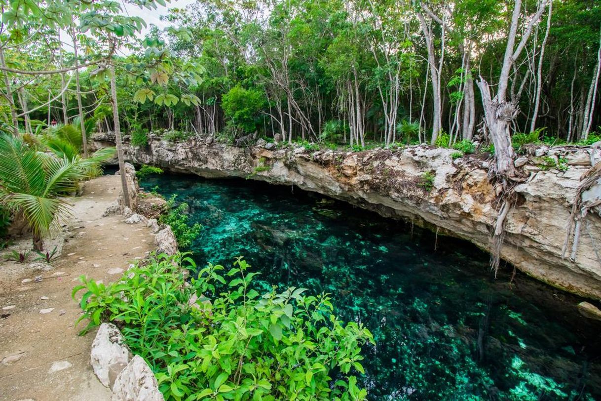 Lugares Cenotes Casa Tortuga