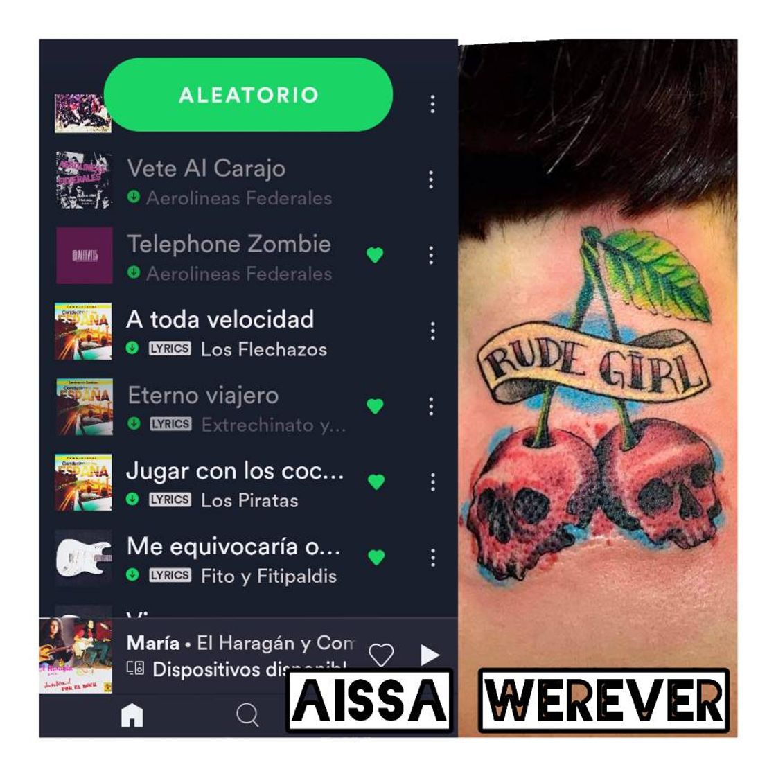 Moda Alissa Werever