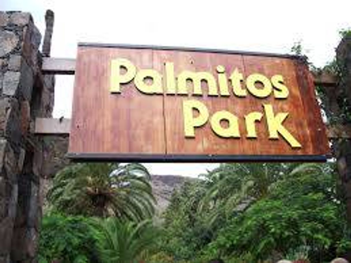 Moda Palmitos Park (Maspalomas) - 2020 All You Need to Know BEFORE ...