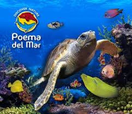 El acuario Poema del Mar (Gran Canaria) amplía su grupo de 60 ...