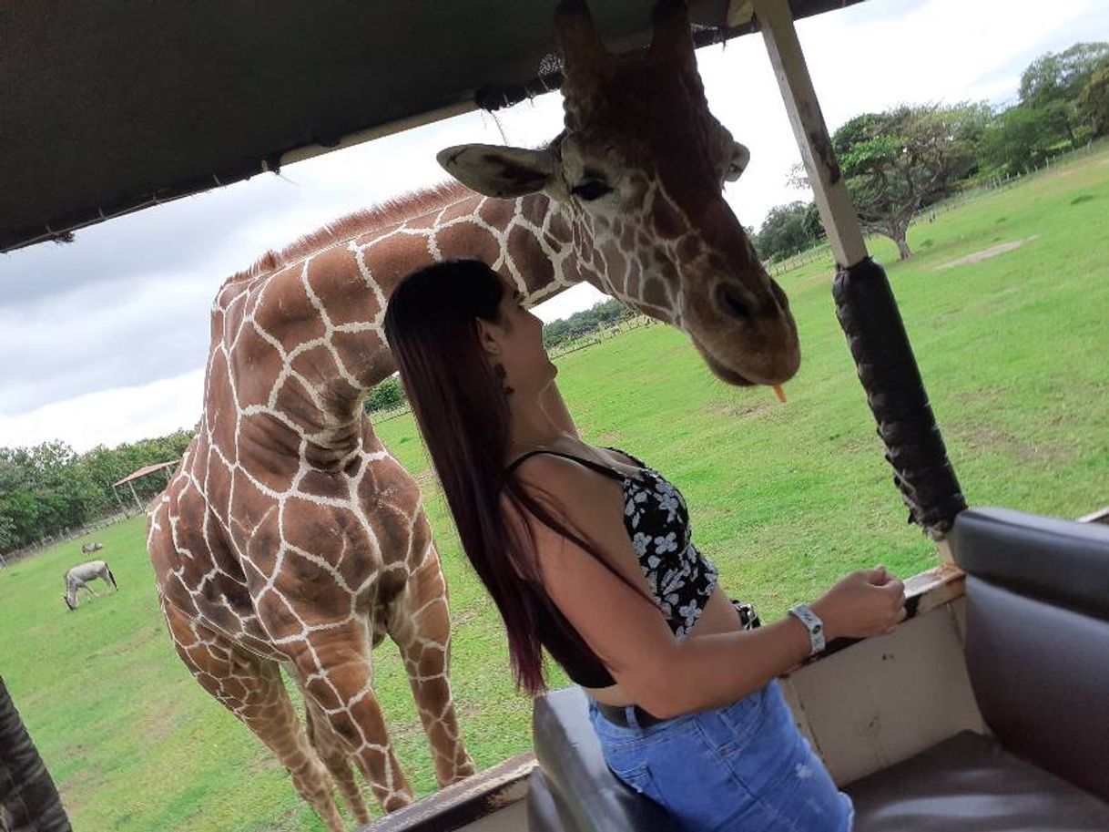 Lugar África Safari Costa Rica