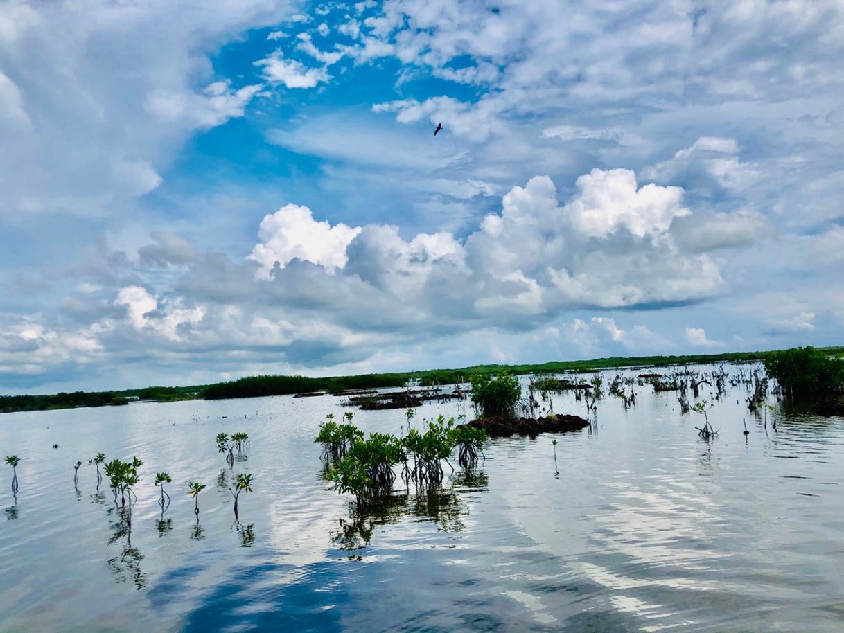 Lugar Bacalar