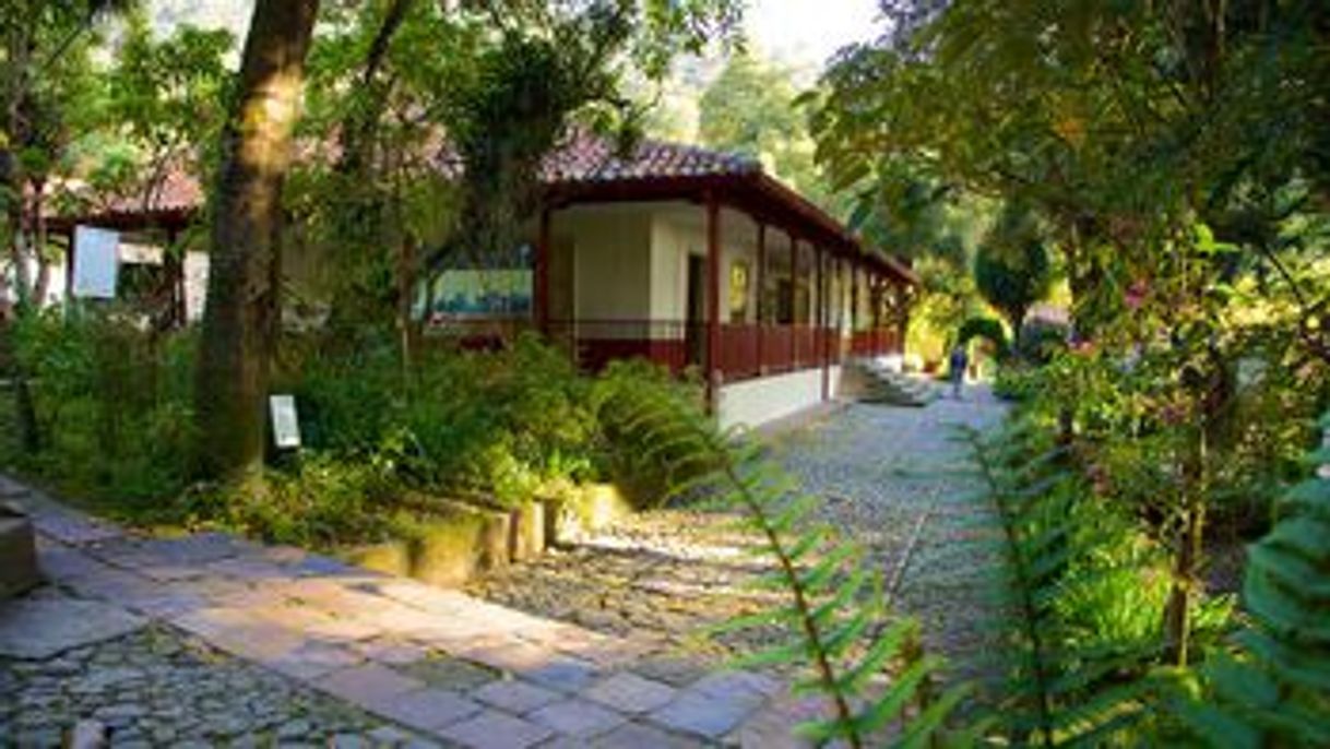 Lugar Museo Quinta de Bolívar