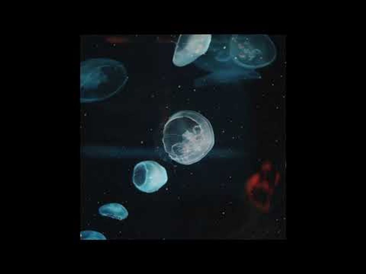 Canción Forhill - Searching - YouTube