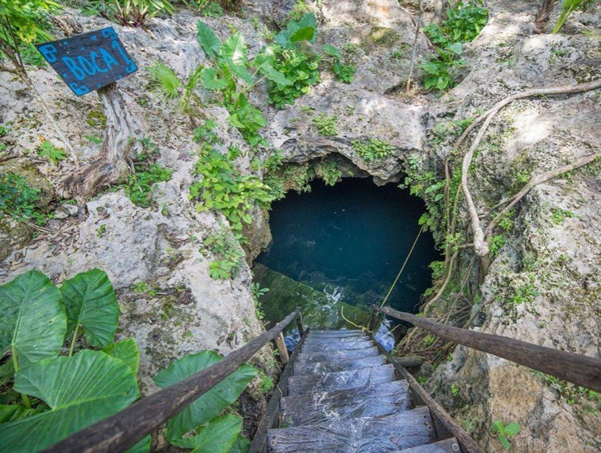 Place Cenote 7 Bocas