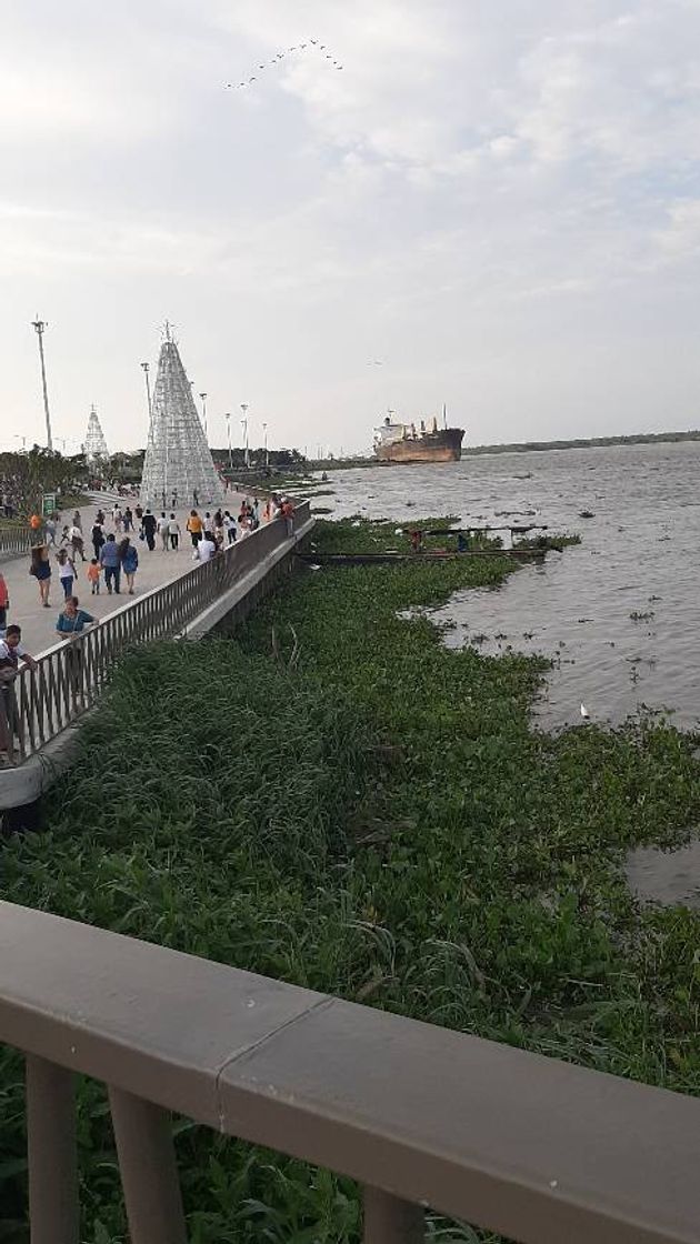 Place Malecón Turístico Rio Magdalena Barranquilla Colombia l