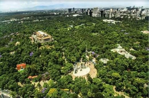 Bosque de Chapultepec