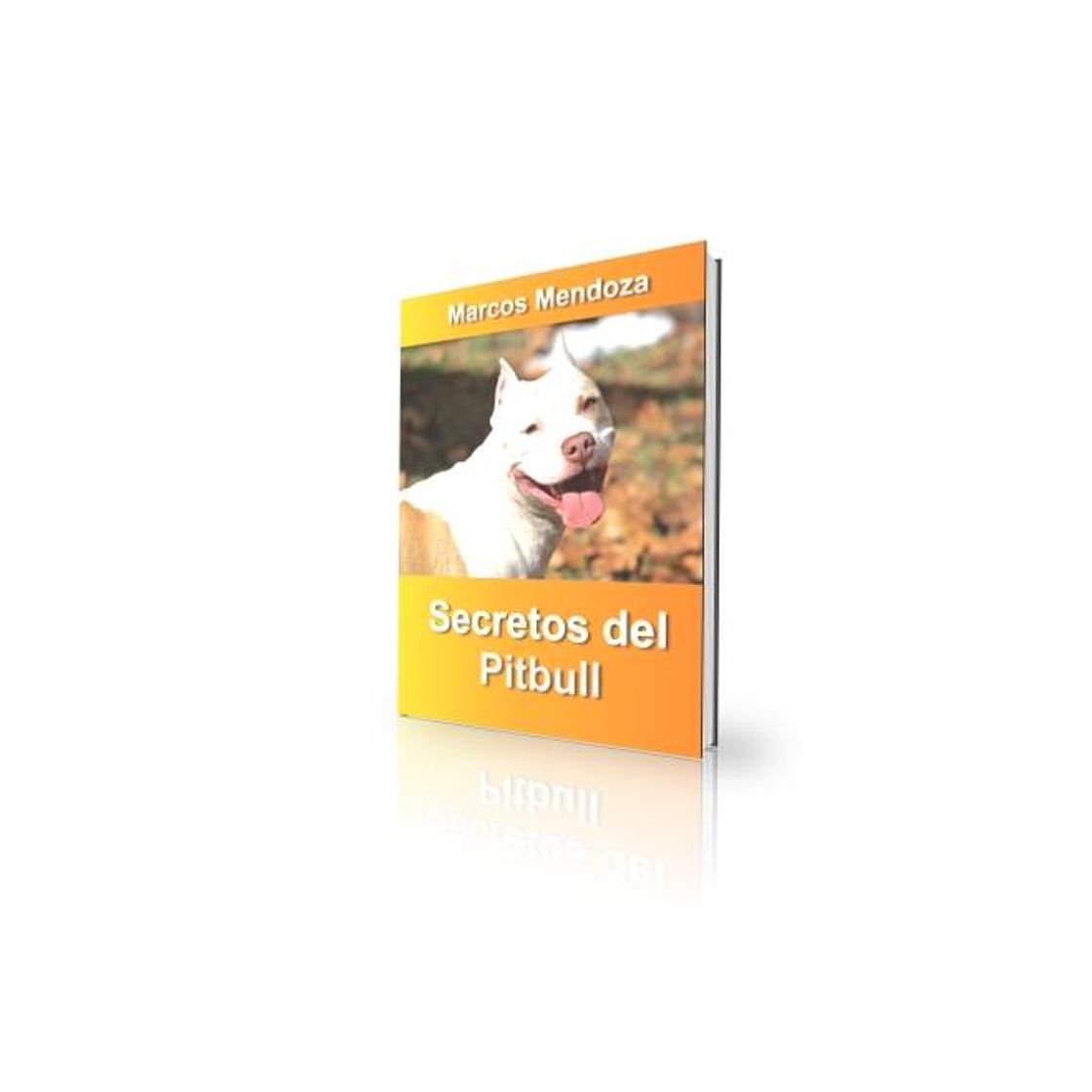 Products Secretos del pitbull